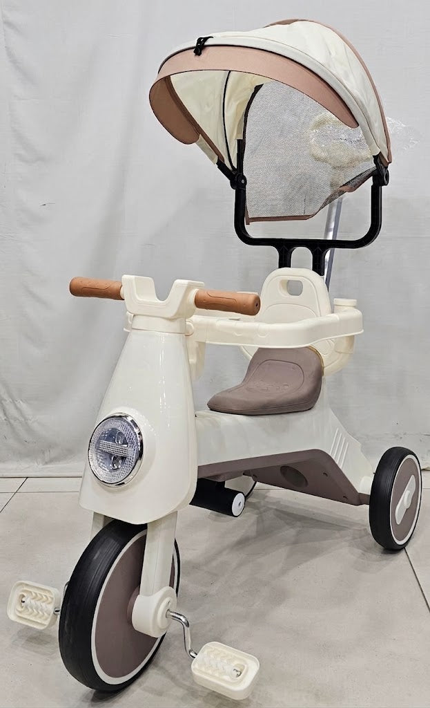 3-in-1 Baby Tricycle with Canopy & Push Handle