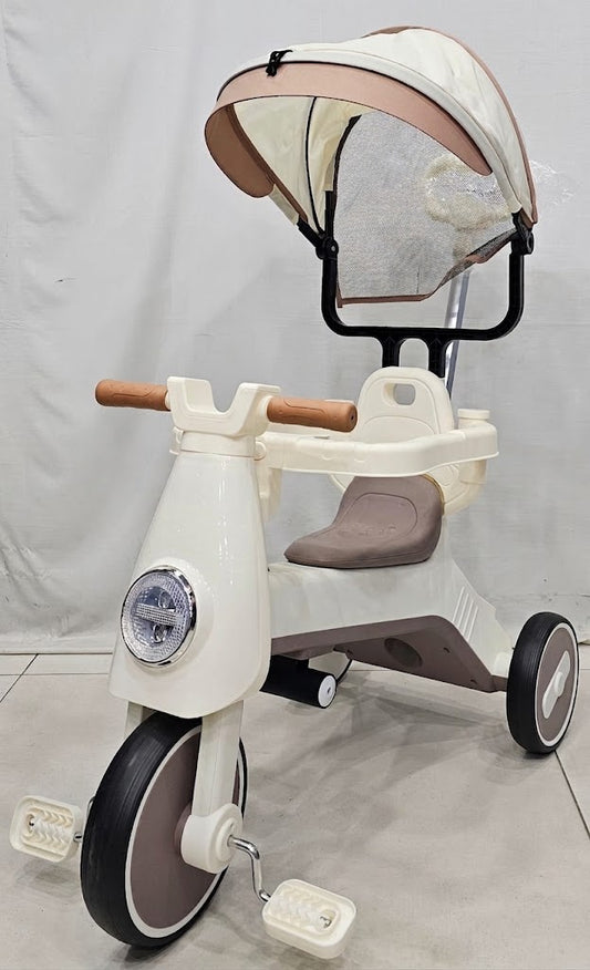 3-in-1 Baby Tricycle with Canopy & Push Handle