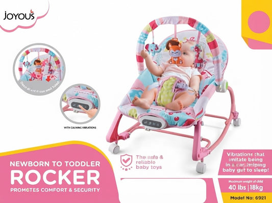 Newborn to Toddler Rocker