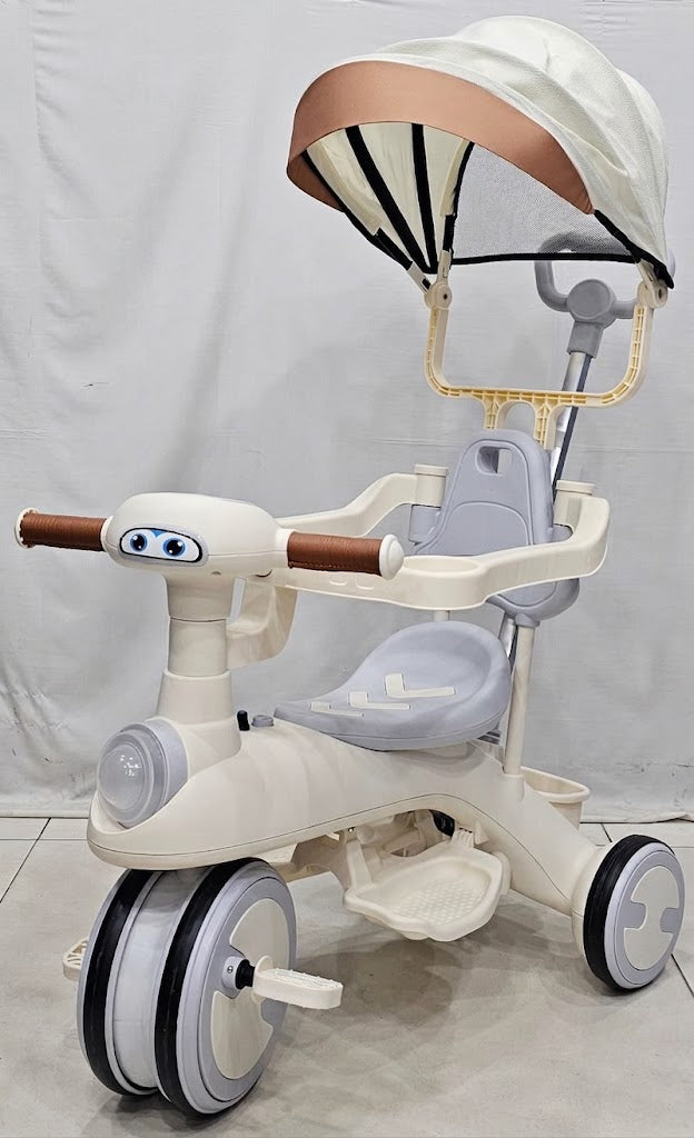 Baby Tricycle stroller with Canopy & Push Handle