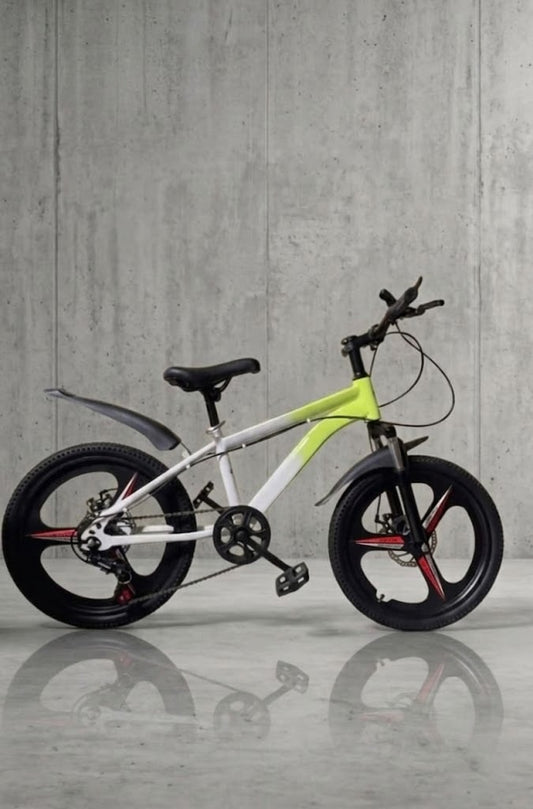 Duo-Tone Sport Kids Bike with Mag Wheels