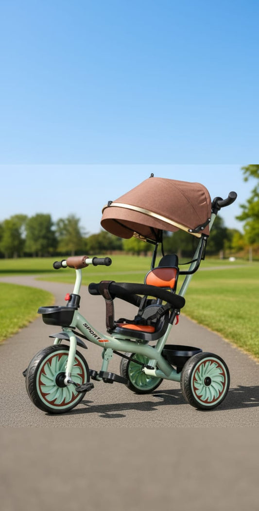 Kids Tricycle with Canopy